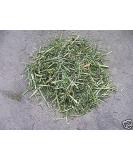 Shelled Warriors ReadiGrass 100g Tortoise Food/Bedding TRIAL - Buy Online on GoSupps.com