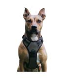 Adjustable No Pull Dog Harness - Breathable Reflective Soft Padded for Small Dogs (Gray) - International Shipping - Buy Online on GoSupps.com