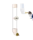 130ml Bird Water Dispenser | Automatic Hanging Feeder for Parrots Budgies & Lovebirds | Portable Drink Bottle for Birds - Buy Online on GoSupps.com