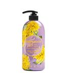 Chrysanthemum Perfume Body Wash 25.3 FL OZ - Luxurious Fragrance & Nourishing Cleanse | Shop Internationally - Buy Online on GoSupps.com