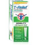 Buy Arthritis Ointment 1.76 oz | Fast International Shipping & Pain Relief Solution - Buy Online on GoSupps.com