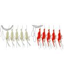 Buy Behr Baby Shrimp Sea Leads Set 2 - 140cm 0.40mm Cord Luminous Paternoster for Norway Fishing - Buy Online on GoSupps.com