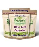 Olive Leaf Extract (Non-GMO) Super Strength: 40% Oleuropein - 450mg 10:1 Strength Equivalent to 4500mg per Capsule - Vegetarian - No Oil -120 Capsules - Buy Online on GoSupps.com