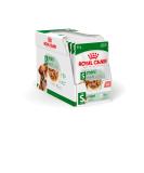 Royal Canin Mini Adult Wet Pouches Dog Food 85 grams (Pack of 12) Meat 1.02 kg (Pack of 1) - Buy Online on GoSupps.com