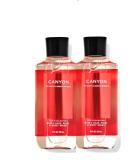 Bath and Body Works 2 Pack Canyon 2-in-1 Hair + Body Wash 10 Oz. - Buy Online on GoSupps.com