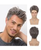 Baruisi Men's Short Cosplay Wig - Mixed Brown Natural Synthetic Hair Replacement Wig - Buy Online on GoSupps.com