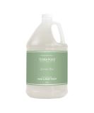 Terra Pure Green Tea Hotel Hand & Body Wash | 1 Gallon | For Hospitality & Vacation Rentals to Refill Dispensers | (Single Gallon) Green Tea & Lemongrass 128 Fl Oz (Pack of 1) - Buy Online on GoSupps.com