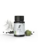 Advanced Potent Lion's Flow Hair Regrowth Supplement - Natural DHT Blocker for Thicker Fuller Hair | Fast-Acting & Clinically Proven Hair Loss Treatment (2-Month Supply - Buy Online on GoSupps.com