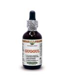 Hawaii Pharm Guggul Extract - Alcohol-Free Commiphora Mukul Liquid Glycerite (60 ml) | International Shipping Available - Buy Online on GoSupps.com