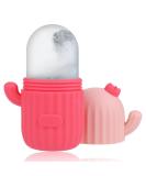 Buy Pink Ice Face Roller & Cactus Silicone Mold | Best Facial Skin Care Tools for Eyes & Neck | International Shipping Available - Buy Online on GoSupps.com