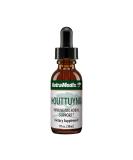 NutraMedix Houttuynia Immune/Microbial Support 1 fl oz (30 ml) - Buy Online on GoSupps.com
