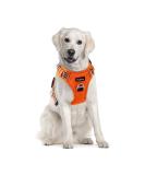 Funfox Adjustable No-Pull Dog Harness & Tableware for Large Dogs | Breathable & Safe - Orange - Buy Online on GoSupps.com