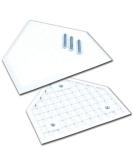 Champro 3 Spike Home Plate (White)  1/2'' - Buy Online on GoSupps.com