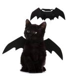 Pet Cat Bat Wings for Halloween Party Decoration, Puppy Collar Leads Cosplay Bat Costume,Cute Puppy Cat Dress Up Accessories - Buy Online on GoSupps.com