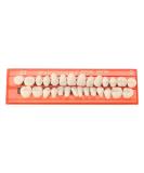 Buy BUNRUN 28 PCS Temporary Dental Resin Teeth - Durable Universal False Dentures for International Shipping - Buy Online on GoSupps.com