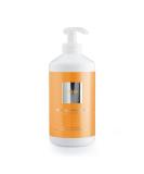 BAEHR BEAUTY CONCEPT - Passion Fruit Hand Cream 500 ml - Buy Online on GoSupps.com