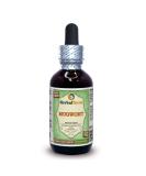 Organic Mugwort Glycerite Extract - Alcohol-Free 2oz Liquid - HerbalTerra - Buy Online on GoSupps.com