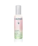 Caudalie Beauty Elixir Face Mist: Toner That Tightens Pores + Reduces Dullness + Sets Makeup, Full Size, 3.3 oz 3.4 Fl Oz (Pack of 1) - Buy Online on GoSupps.com