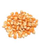 Premium Quality 1kg Spices Popcorn Seeds - Pack of 1 - Buy Online on GoSupps.com