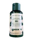 Shop Shea Intense Repair Conditioner for Dry Hair - Nourishing 2 fl oz Treatment for All Hair Types - Buy Online on GoSupps.com