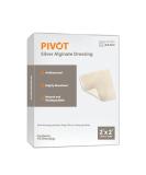Pivot Silver Alginate Wound Dressing - Natural 2x2 First Aid Dressings | Box of 10 for Effective Healing - Buy Online on GoSupps.com