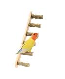 Wooden Bird Toys for Parrots - Climbing Ladders & Knitting Conductor | International Shipping - Buy Online on GoSupps.com