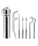 6-Piece Toothpick Tartar Remover Set - Portable Metal Dental Care Kit for Travel Camping & Picnics - Buy Online on GoSupps.com