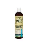 Hydrating Moisturizing Conditioner - Unscented Seaweed, Argan & Coconut Oils - Vegan, Paraben Free | The Seaweed Bath Co. - Buy Online on GoSupps.com
