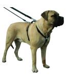 Kumfi Canine Kumfi Complete Control Harness Size XL Black XL - Buy Online on GoSupps.com