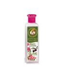 Buy Pharmaid Athenas Treasures Natural Body Lotion Rose 250ml | Hydrating & Soothing Skin Moisturizer - International Shipping Available - Buy Online on GoSupps.com