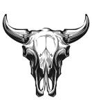 DopeTattoo Bull Skull Temporary Tattoos - 6 Sheets for Neck, Arm, & Chest - Unisex Adult Body Art - Buy Online on GoSupps.com