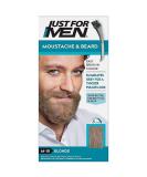 Just For Men M10 Sandy Blond mustache and beard brush in hair gel Sandy Blond 1 Count (Pack of 1) - Buy Online on GoSupps.com