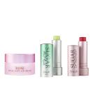 Buy Sugar Mint & Rose Lip Balm - Mini Moisturizing Treatment & Full Size Petal Soft Lip Cream | International Shipping Available - Buy Online on GoSupps.com