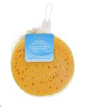April Bath & Shower Natural Bath Sponges Set - Gentle Sponge for Baby, Kids, Women & Men - 5x5x2 inches - Buy Online on GoSupps.com