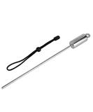 Alomejor Stainless Steel Lobster Stick Scuba Diving Pointer with Lanyard - Black - Buy Online on GoSupps.com