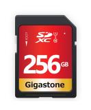 Gigastone 256GB SD Card UHS-I Class 10 for Full HD Video - Compatible with Canon, Nikon, Sony, and More - 1 Mini Case Included - Buy Online on GoSupps.com