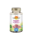 Nature's Herbs Reishi Mushroom 1200 mg - 100 Vegetarian Capsules for Immunity & Wellness - Buy Online on GoSupps.com