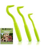 HouChanges 3Pcs Tick Remover Tool Painlessly Tick for Dogs Cats and Humans Pets Green Tick Hook Green - Buy Online on GoSupps.com