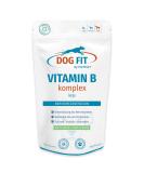 Dog Fit by Prethis Vitamin B complex for dogs I nerve strengthening incontinence spondylosis nervousness I B1 B2 B3 B7 B7 B12 I Biotin & Folic acid i Vegan without additives i Large from 25kg large (from 25kg) - Buy Online on GoSupps.com