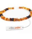 100% Baltic Amber Dog Necklace & Collar | Natural Tick Protection for Cats & Dogs | Authentic Lithuanian Amber - Buy Online on GoSupps.com