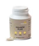 Wellpursan Arthronem Plus - 90 Joint Support Capsules with MSM & Vitamin C for Osteoarthritis Relief - Buy Online on GoSupps.com