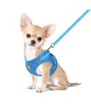 Femax Soft Mesh Dog Harness with Leash for Small & Medium Dogs | Adjustable No-Pull Vest for Chihuahua & Cats | Breakable Reflective Design - Blue (Breast 35-40cm) - Buy Online on GoSupps.com