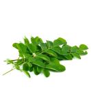Drumstick/Moringa Leaves 1 kg -/+10% - Buy Online on GoSupps.com
