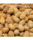 Roasted Salted Soy Nuts 5 lbs Bulk by It's Delish | Vegan & Kosher Crunchy Snack with Sea Salt - Healthy Protein-Filled Soybean Nuts - Buy Online on GoSupps.com