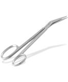 Buy Extra Long Stainless Steel Nail Scissors for Precision Trimming - International Shipping Available - Buy Online on GoSupps.com