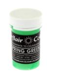 Sugarflair PASTEL Concentrated Paste Food Colour :: Perfect for all Cake Making and Colouring (Spring Green) - Buy Online on GoSupps.com