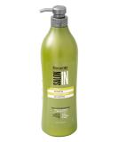 RECAMIER 34332 Salon In Professional Volumizing Shampoo for Damaged Hair for Women| Keratin and Argan Oil Infused | Salt Free | No Dandruff | Hair Thickening and Strengthening | Champu Hidratante Pro 33.8 Fl Oz (Pack of ... - Buy Online on GoSupps.com
