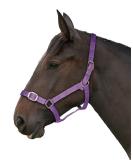 Gallop Basic Nylon Headcollar and Lead Rope Set Cob Size Purple COB Purple - Buy Online on GoSupps.com