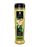 SHUNGA Massage Oil- Exotic Green Tea 240ml - Buy Online on GoSupps.com