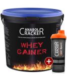 100% Pure Whey Gainer Protein - 3000g Strawberry Powder + Shaker | International Shipping - Buy Online on GoSupps.com